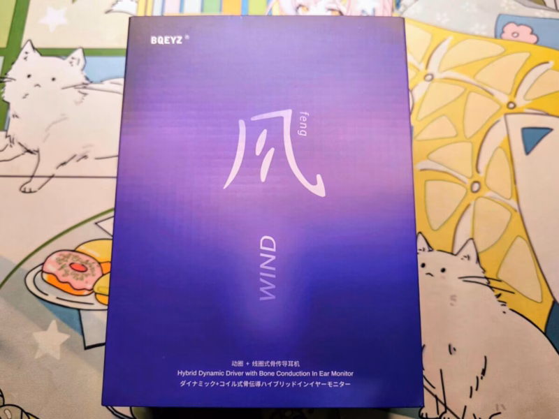 BQEYZ WIND – 独自の骨伝導型ドライバーが刻む、ボーカルの明瞭感とは 15 IMG 20240602 174225