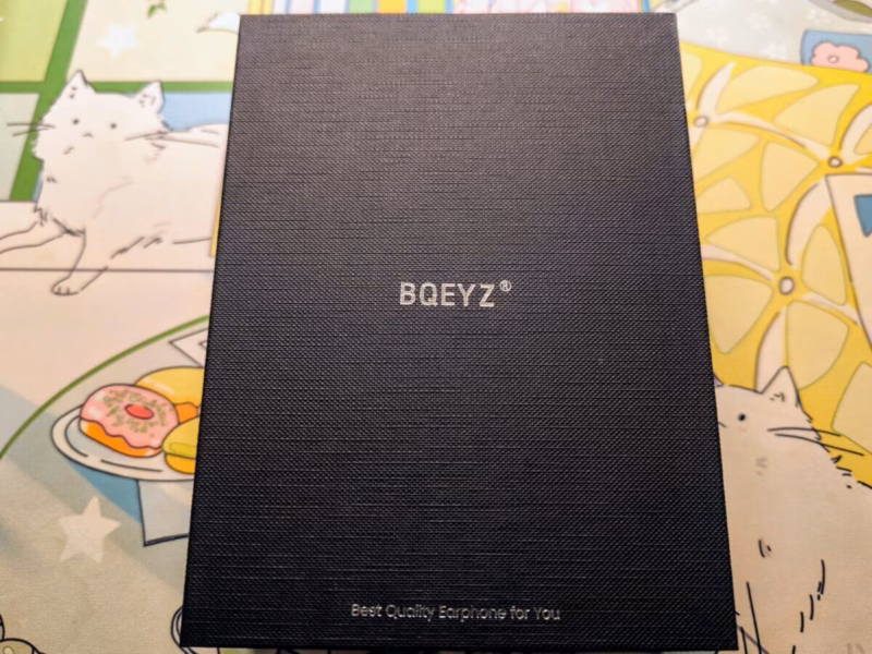BQEYZ WIND – 独自の骨伝導型ドライバーが刻む、ボーカルの明瞭感とは 17 IMG 20240602 174532