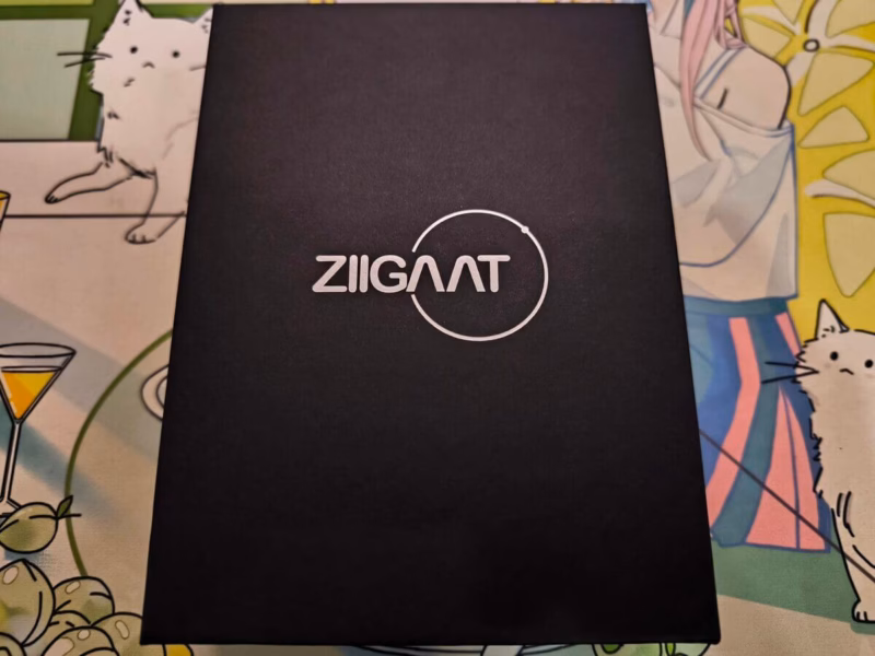 ZiiGaat x Fresh Review Arete – 同社らしい堅実さ、低音域の響きが過不足なく気持ちいい製品 10 IMG 20240615 030437