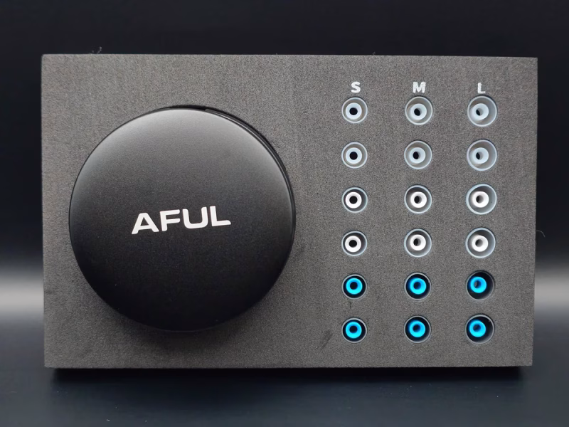 AFUL MiracleOne - 耳にすっぽり収まる、技術派AFULの新世代DD 11 AFUL MiracleOneのケースとイヤーピース